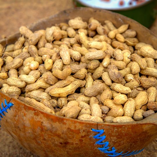 GROUNDNUTS